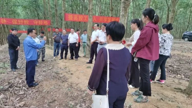 全國割膠冠軍張健給各單位學員做標準化膠園建設及割膠技術的經驗介紹。.jpg