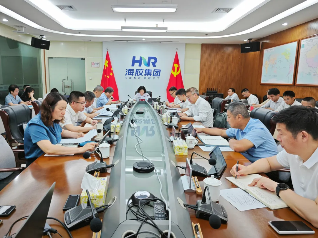 梁翠赴海南橡膠開展經營調研督導